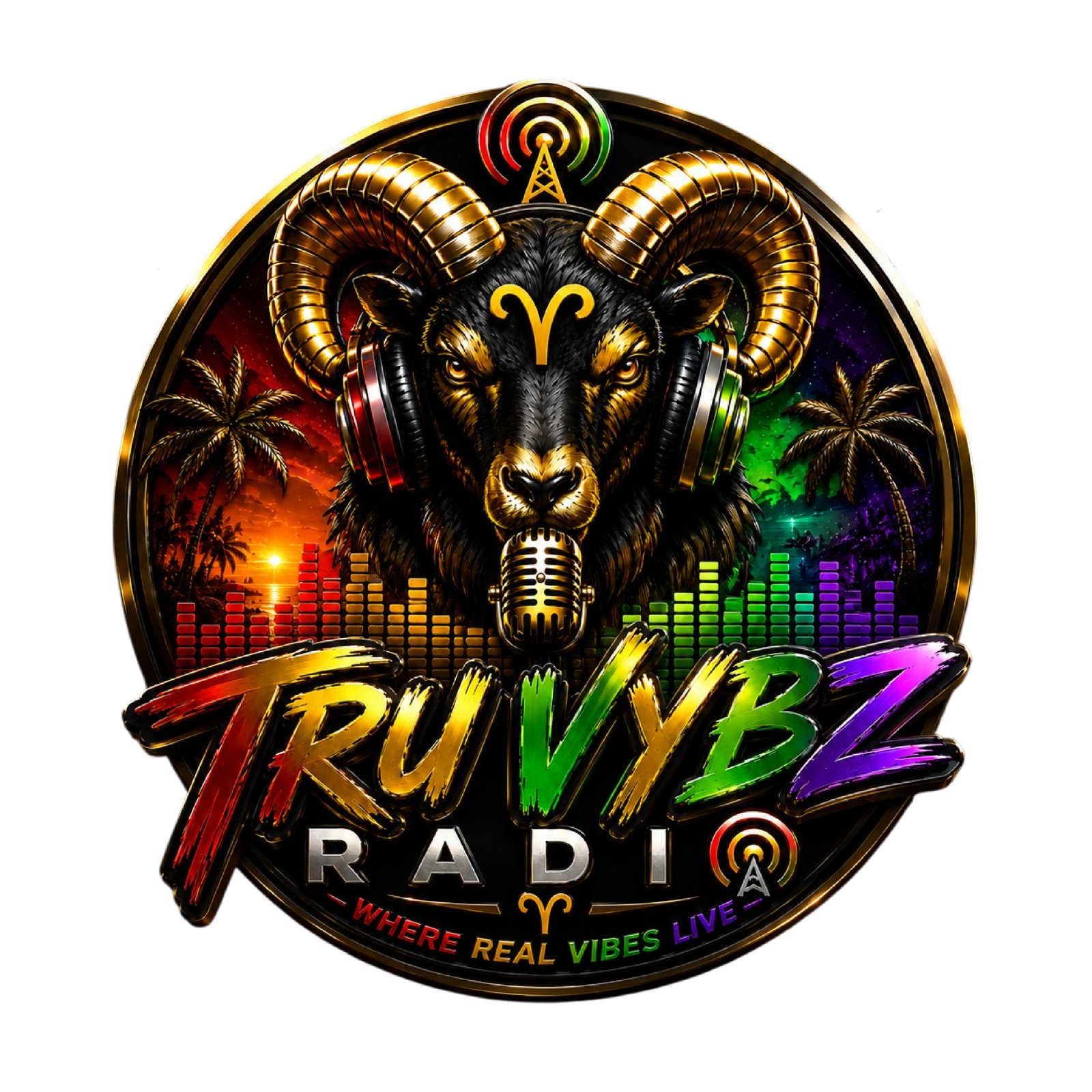 Tru Vybz Radio Logo